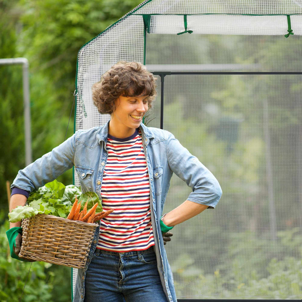 Walk-in greenhouse with 4 windows