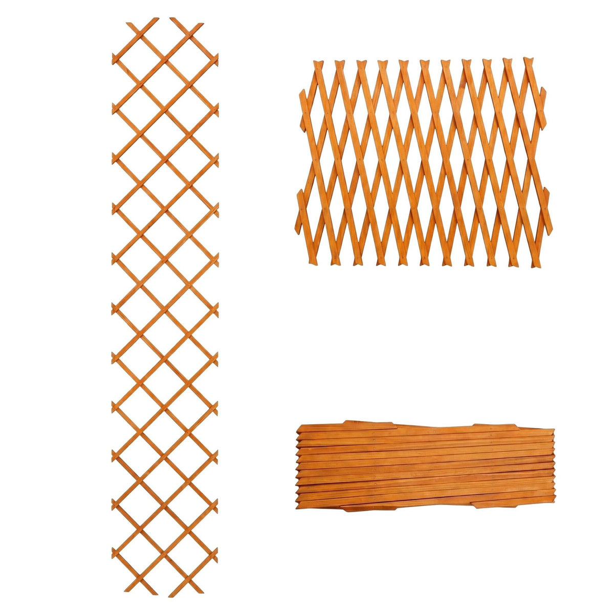 Wall-Mounted Extendable Trellis Set of 3 for Vines