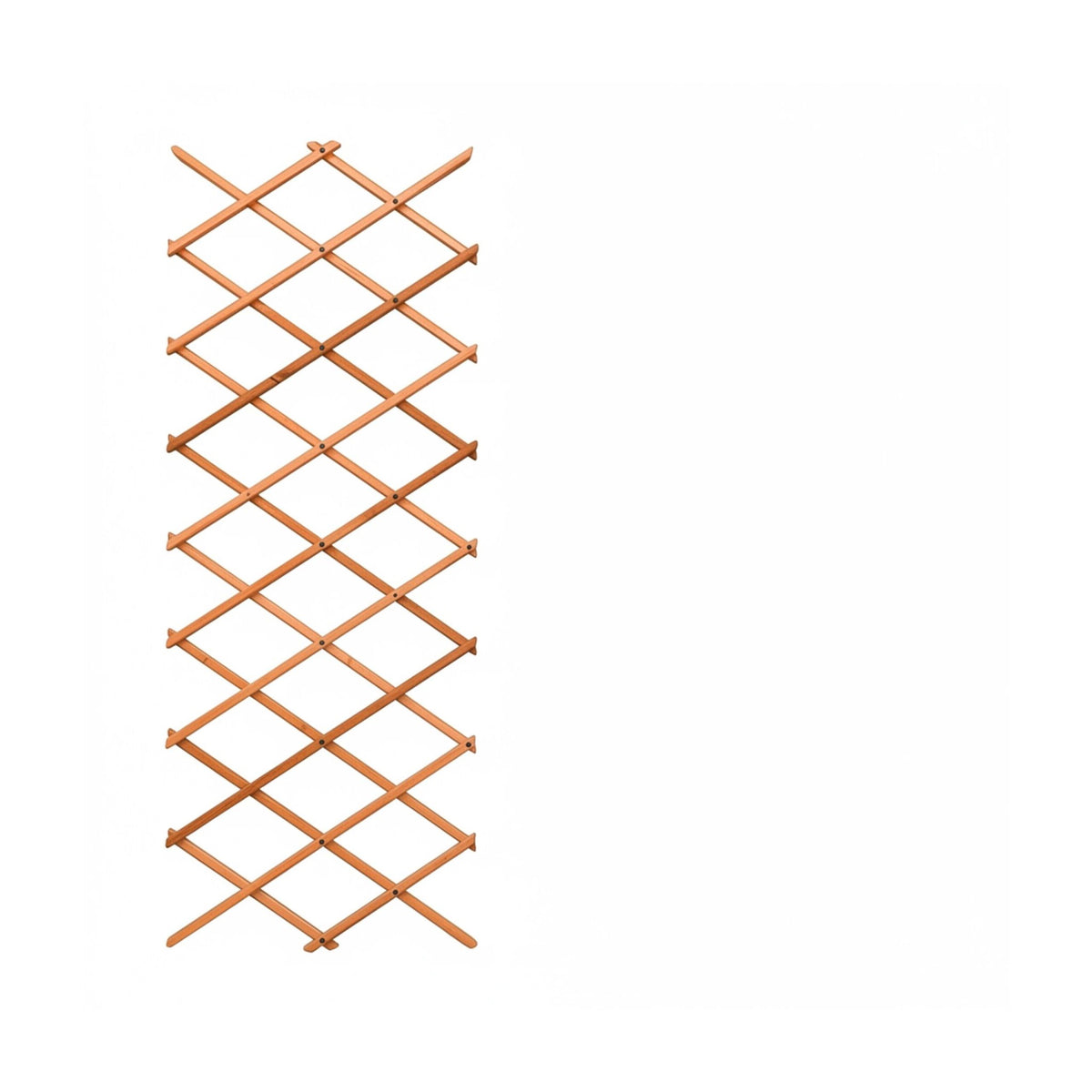 Wall-Mounted Plant Trellis Set, 3-Piece Extendable Wood