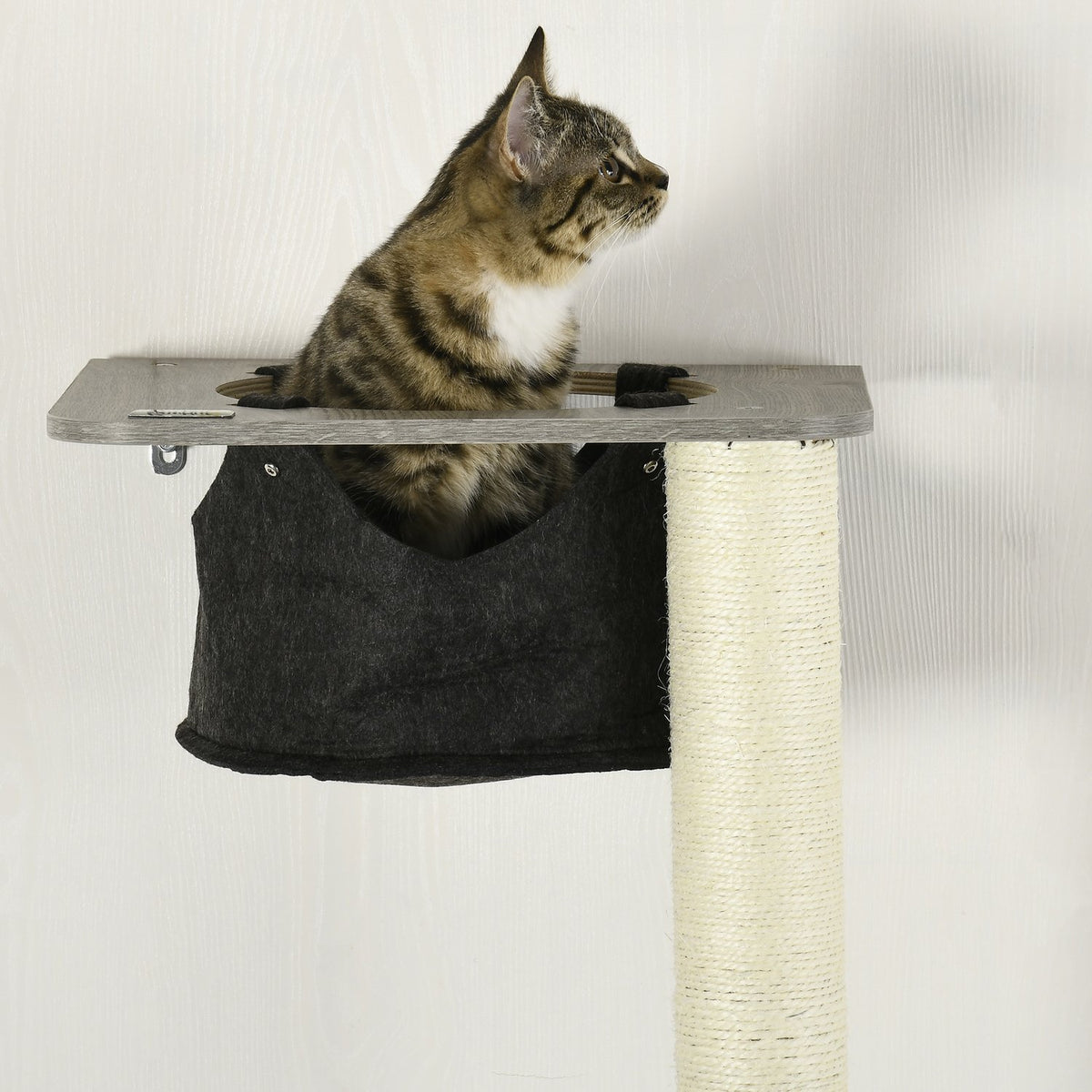 Wall Scratching Post Cat Furniture 185Cm Hammock Platforms Tilt Protection Gray + Cream White