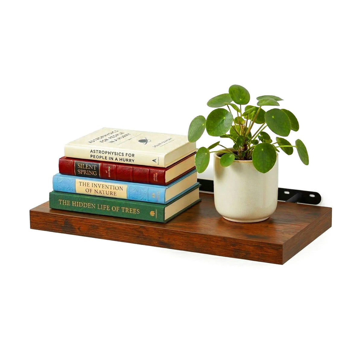 Wall Shelf With Metal Bracket – Floating Display Ledge