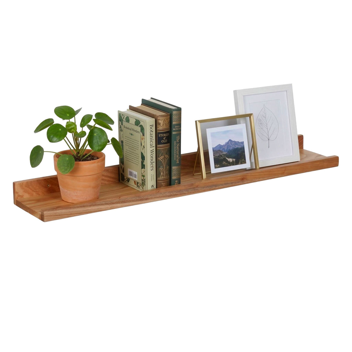 Walnut Wall Picture Ledge Shelf – Raised Front Edge