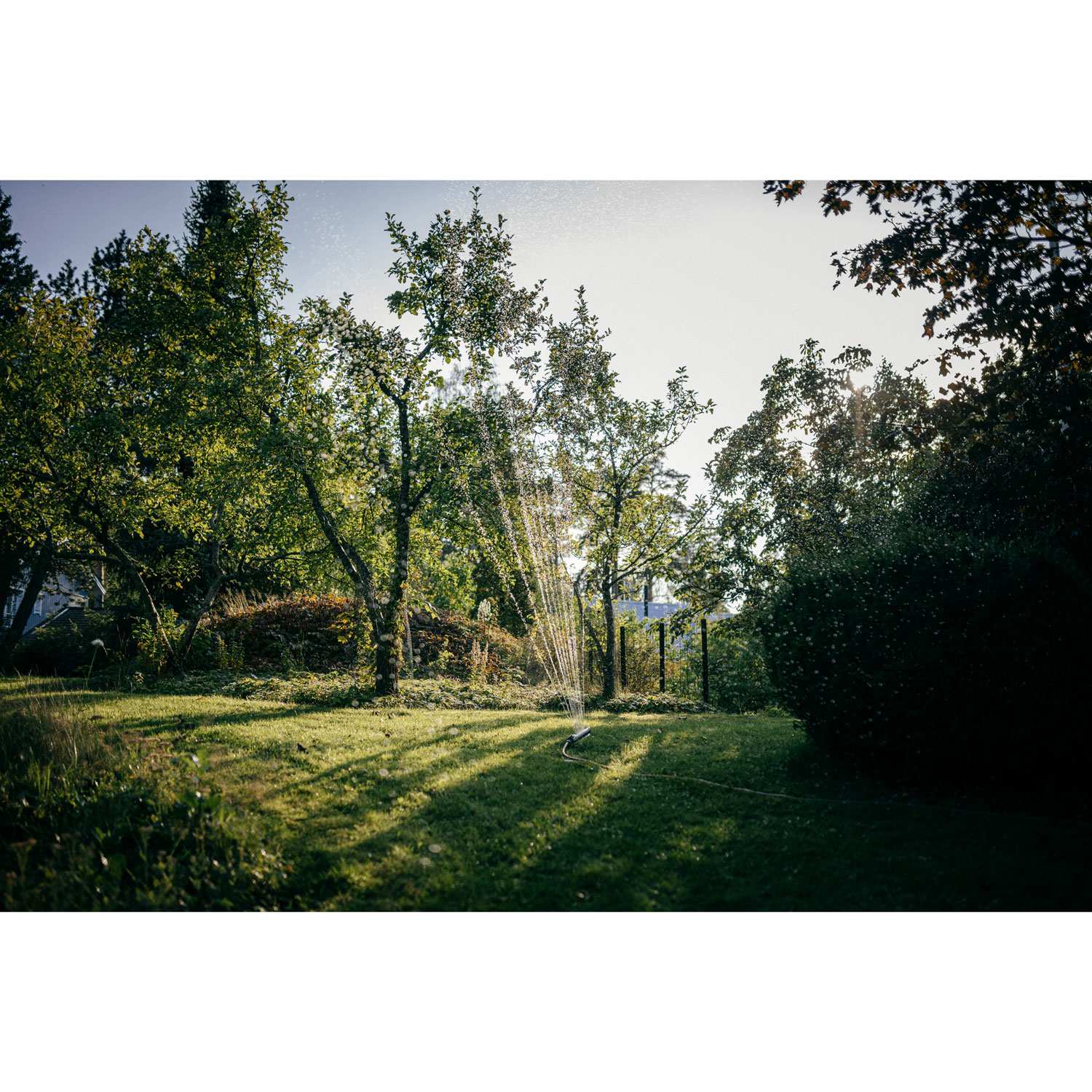 Water dispenser S-LX-series Oscillating