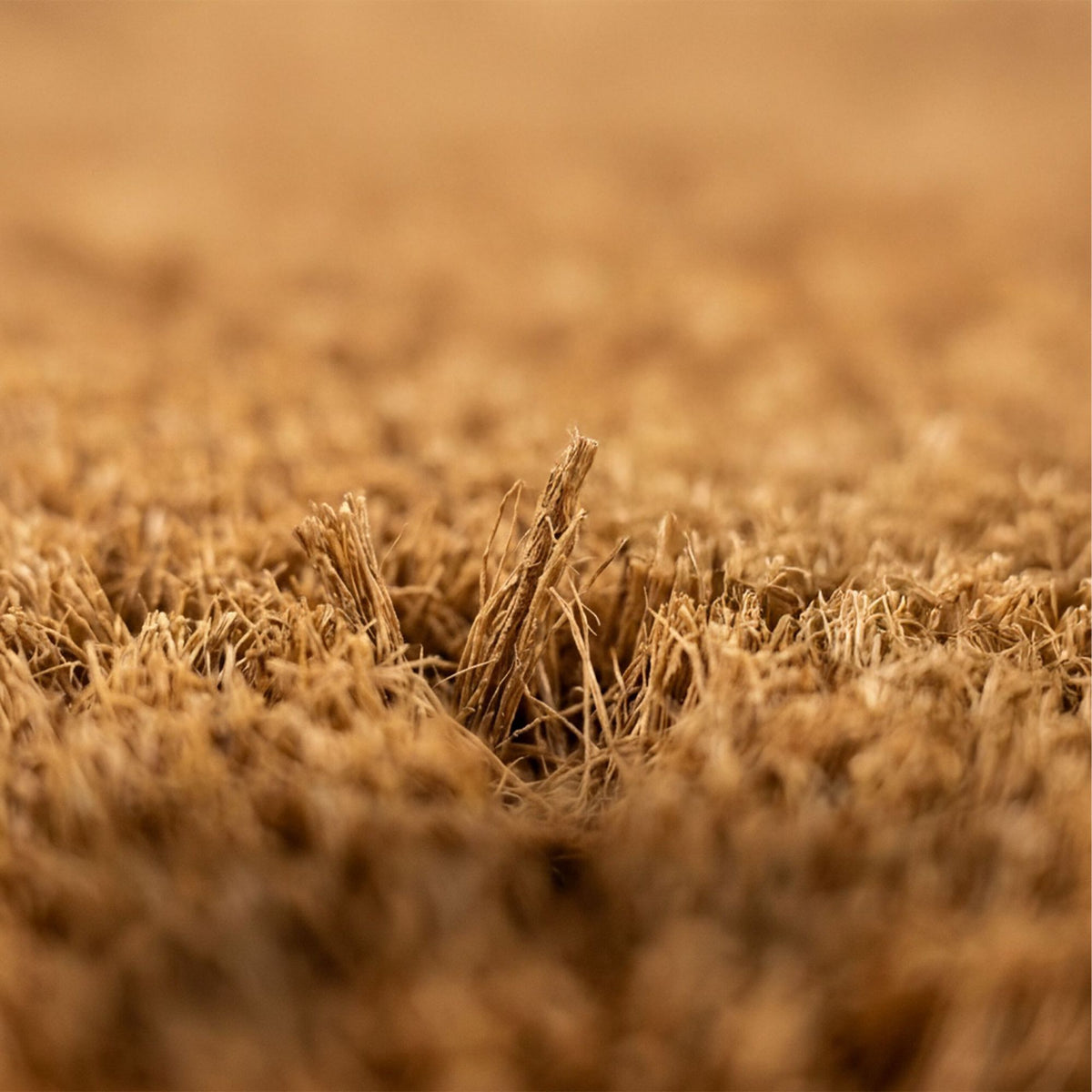 Welcome Coir Doormat, Non-Slip, 60x40 cm
