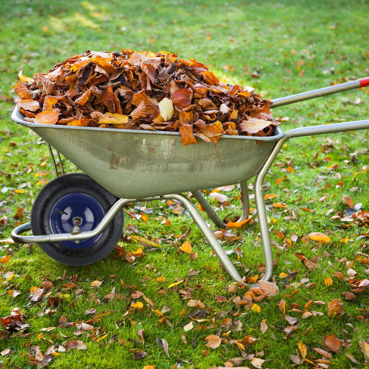 Wheelbarrow Replacement Wheel, Rubber Tire & Steel Rim