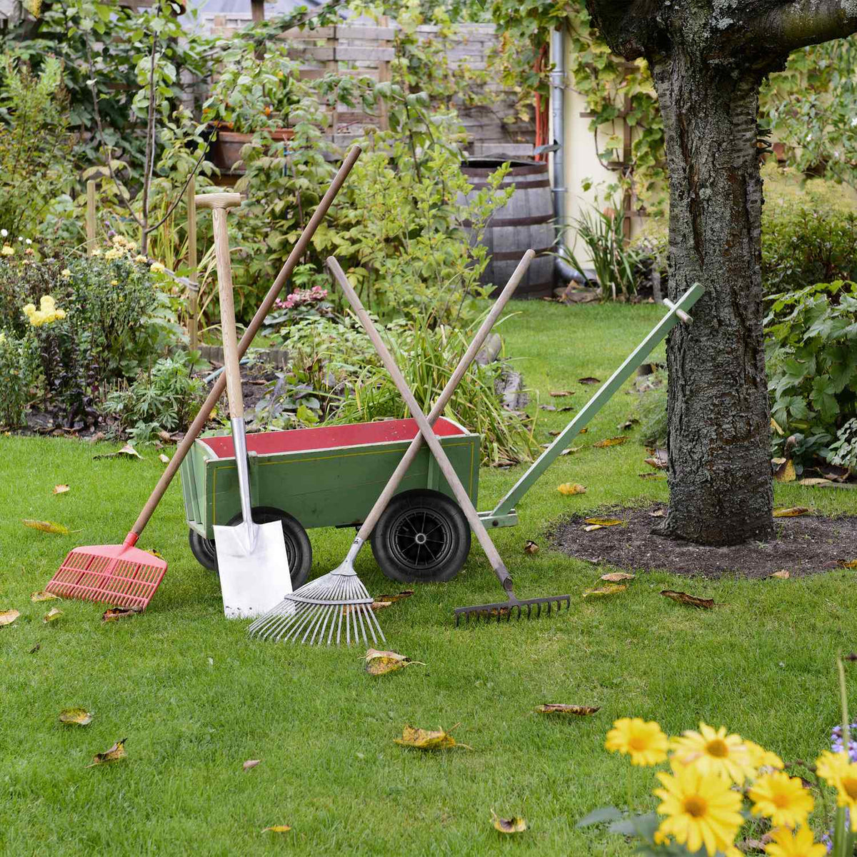 Wheel barrow set of 2 with hose