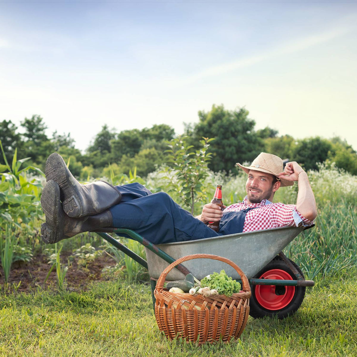 Wheels for wheelbarrow 3.50-8 pneumatic tires