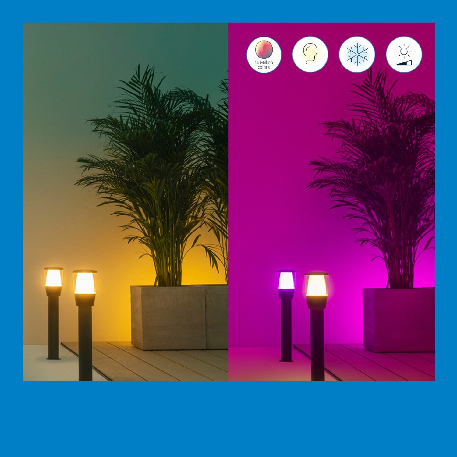 WiFi Smart Elpas pedestal Color + Warm-cold white 12V Starter kit