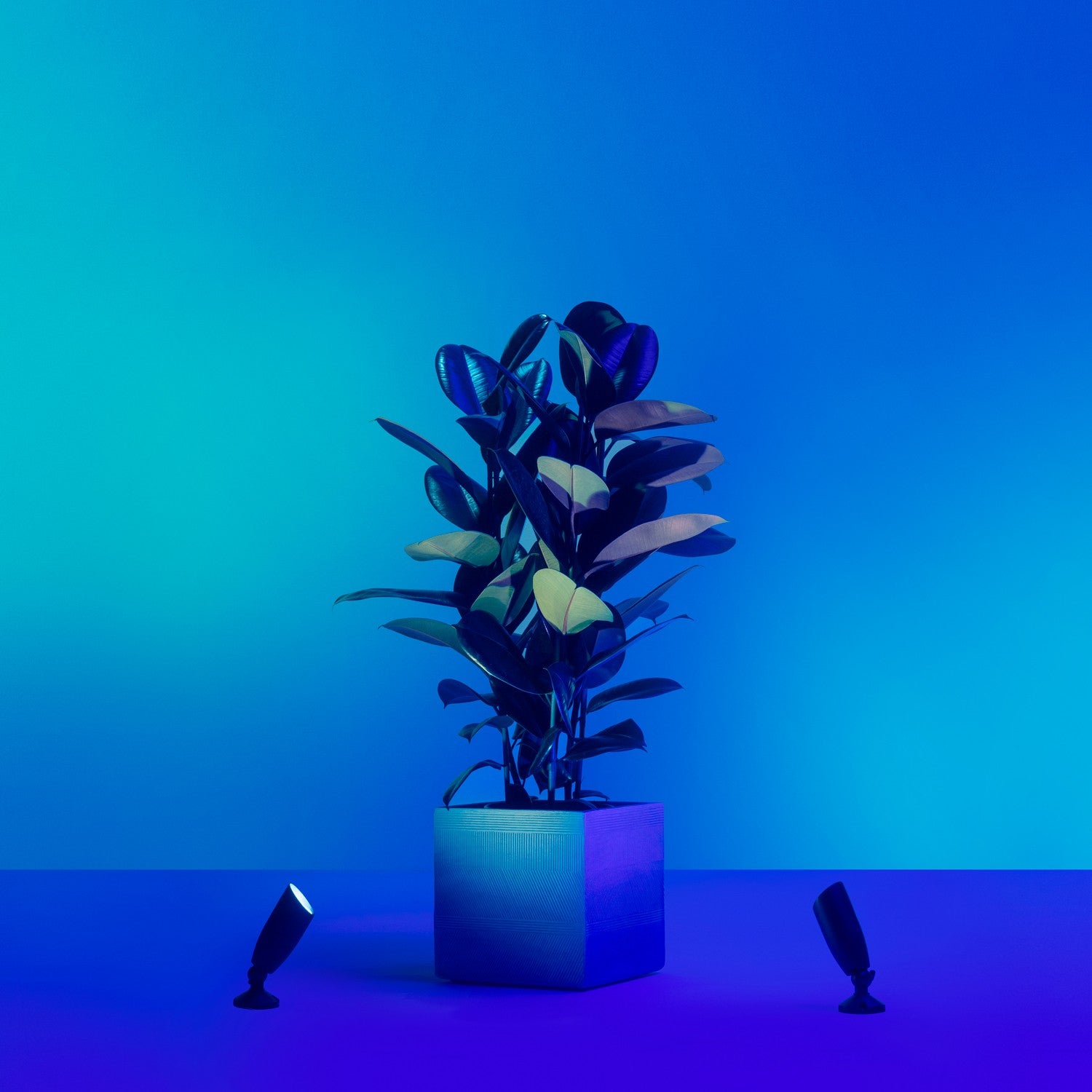 WiFi Smart LED Spotlight Color + Warm-Cool White 12V Starter Kit