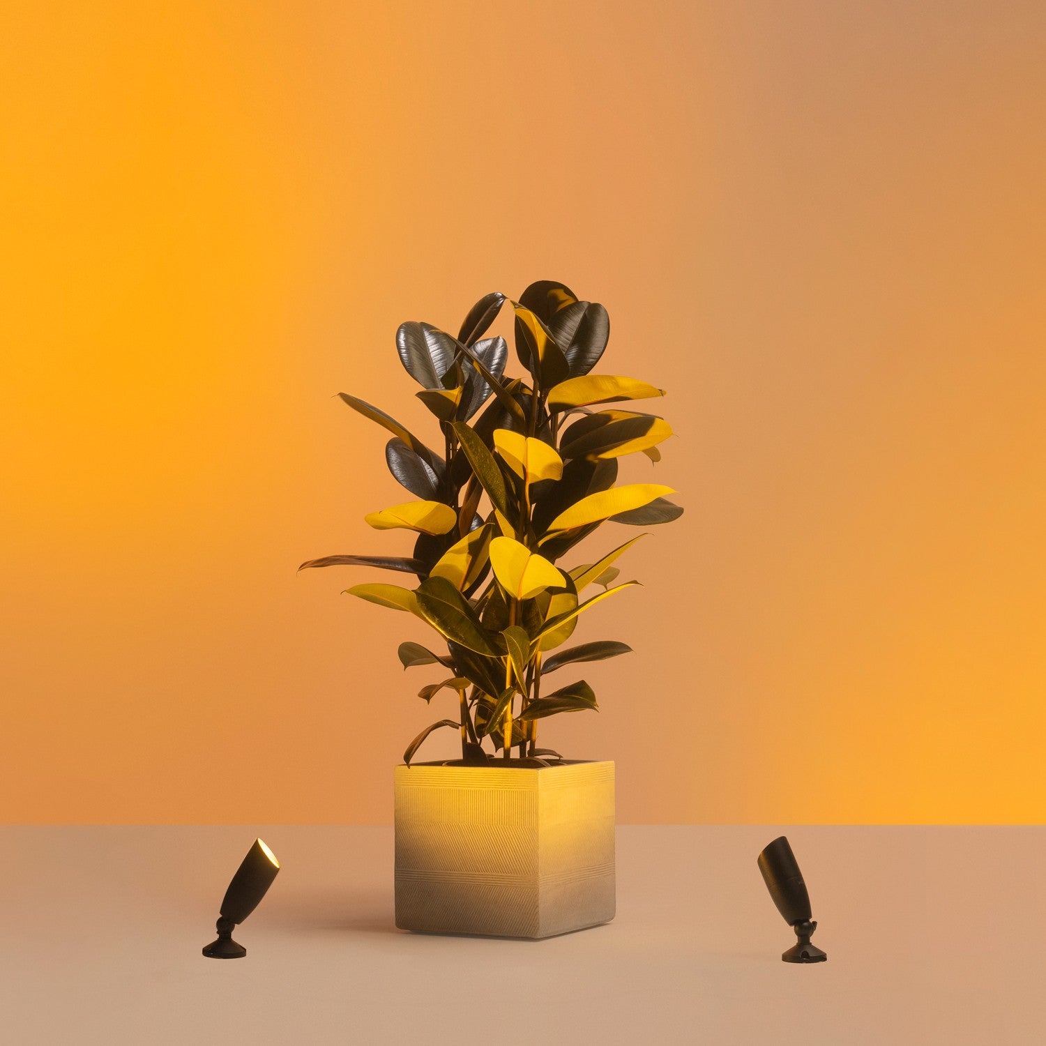 WiFi Smart LED Spotlight Color + Warm-Cool White 12V Starter Kit