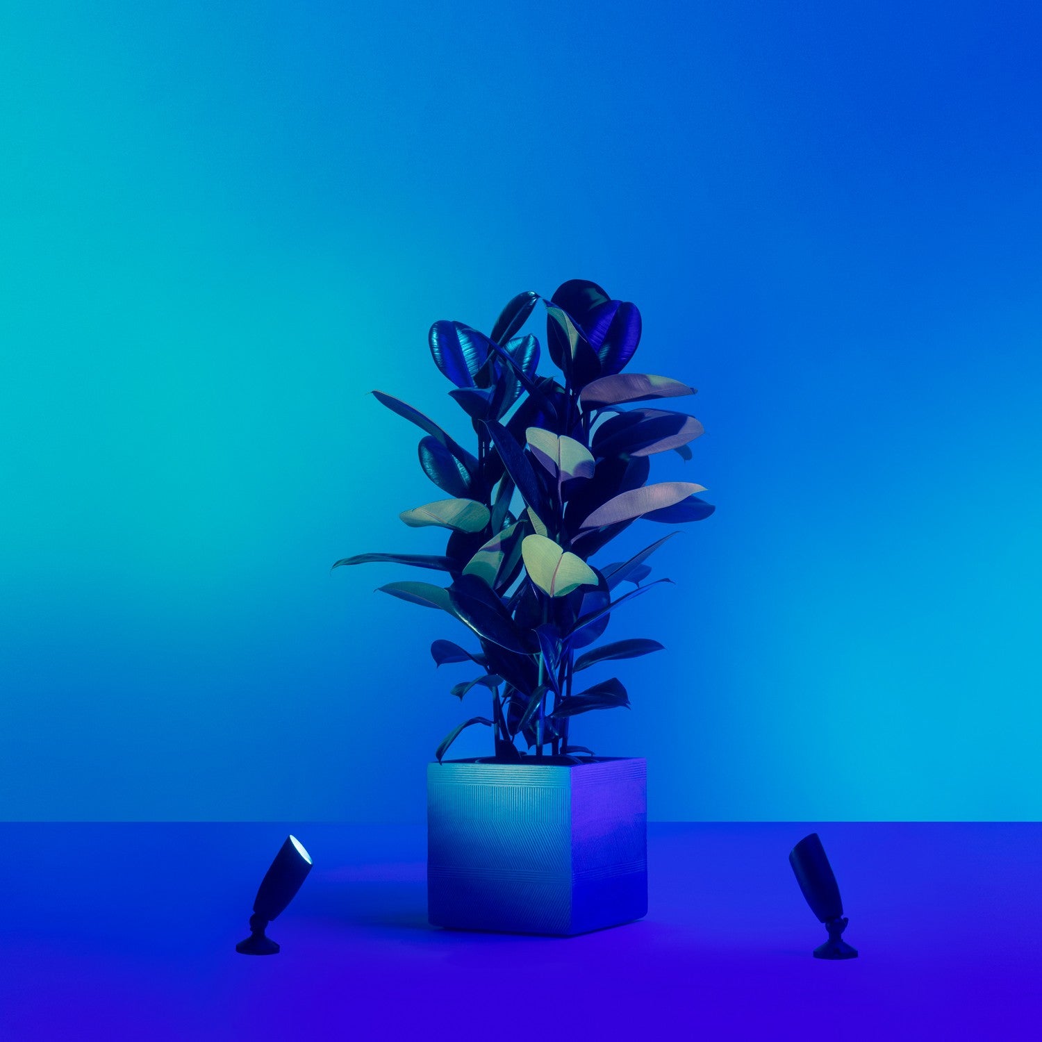 WiFi Smart LED Spotlight Color + Warm-cold white 12V Expansion