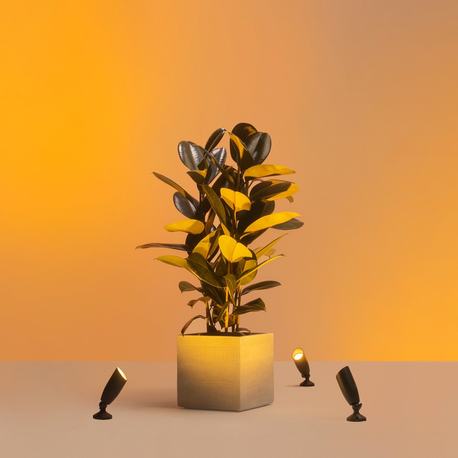 WiFi Smart LED Spotlight Color + Warm-cold white 12V Expansion