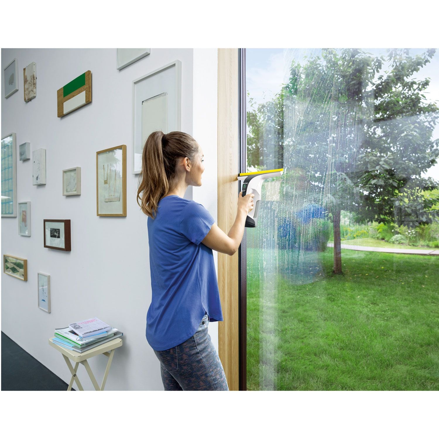 Window washer WV 6 Plus