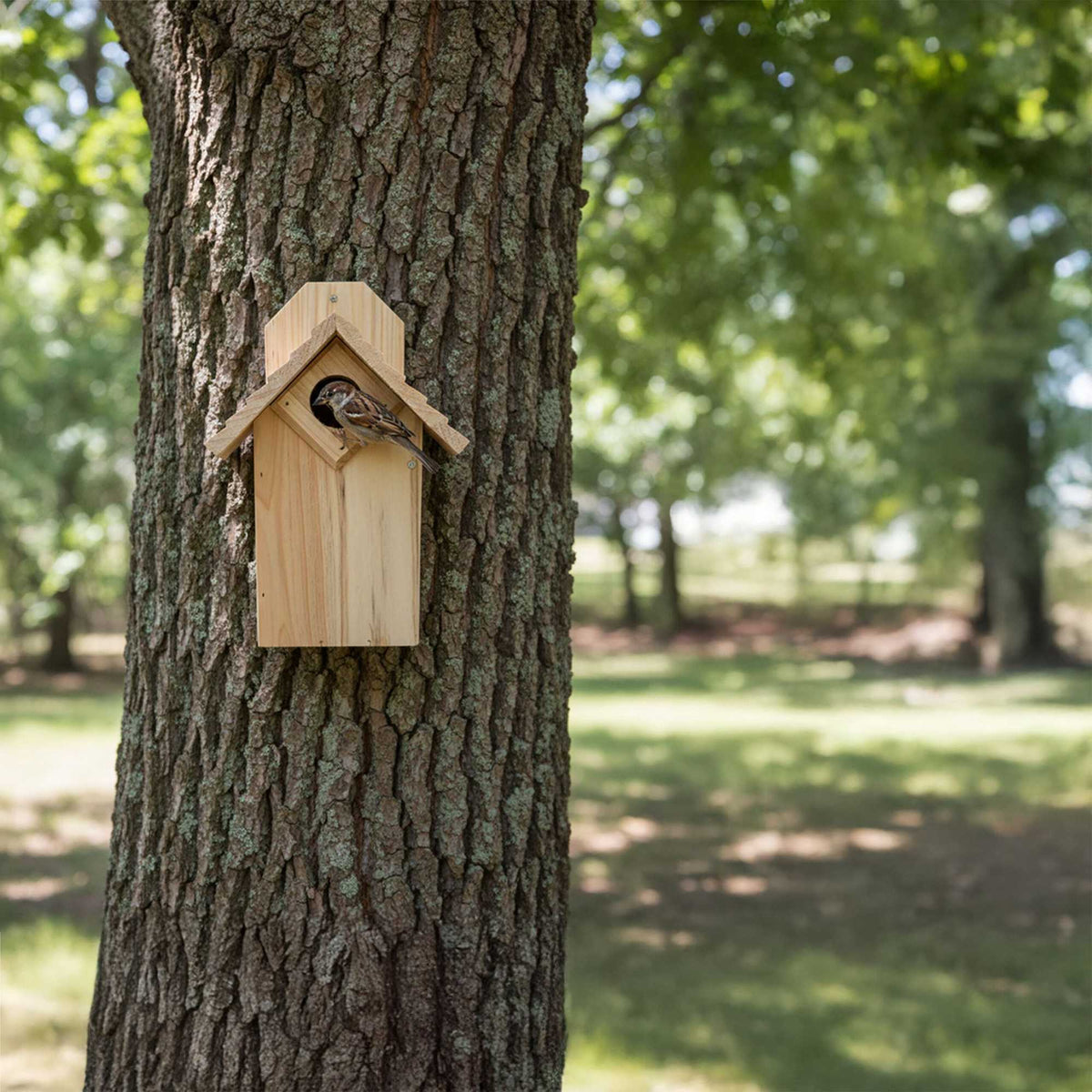 Wooden Bird Nesting Box with Cleaning Flap