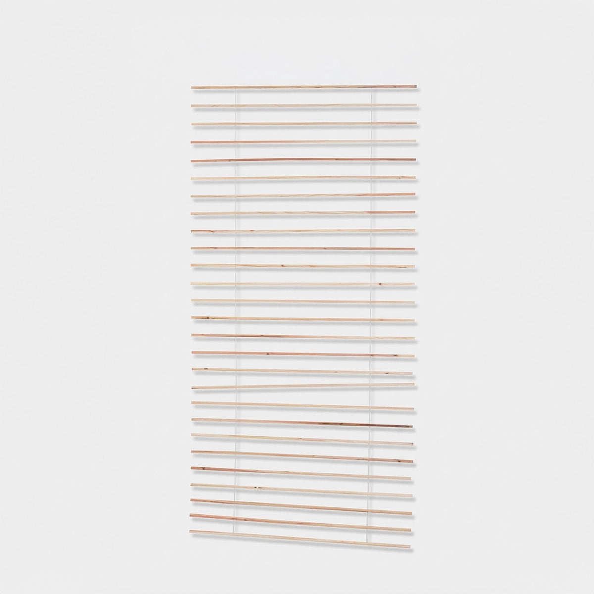 Wooden Trellis 200x100 cm for Privacy and Plants
