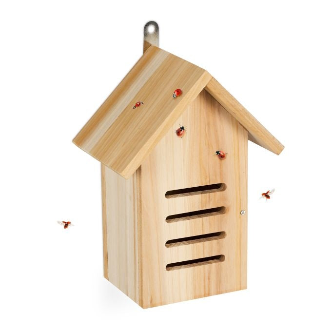 Wooden ladybug house