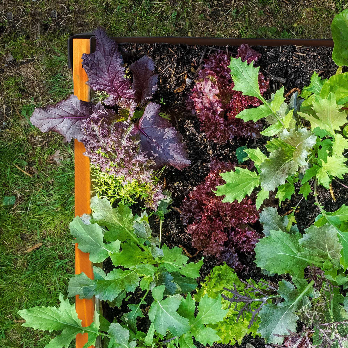 Wooden planting table