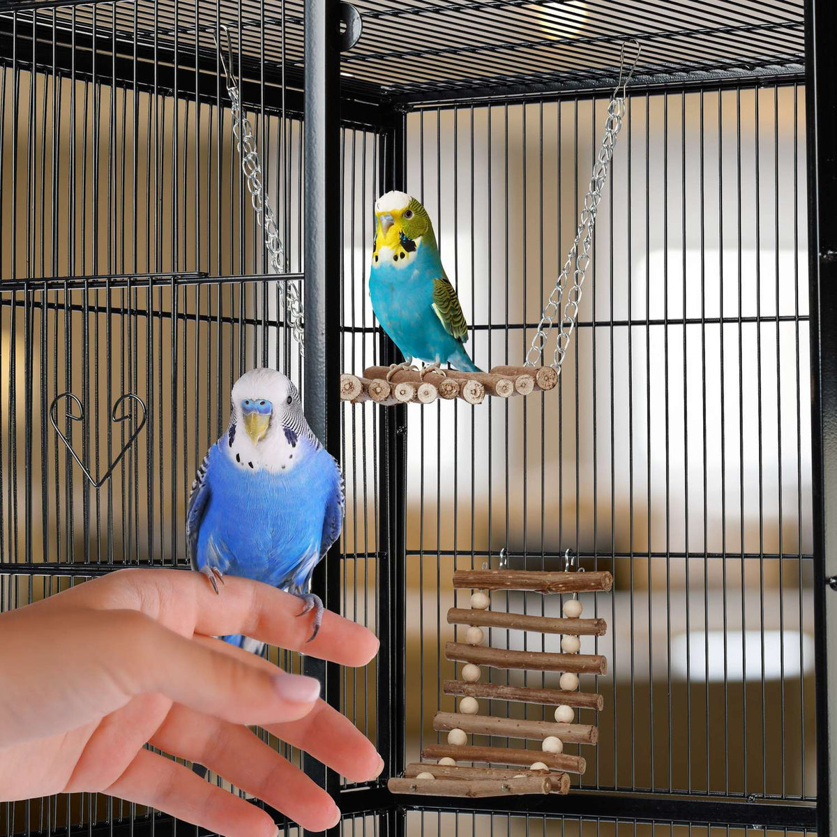 bird toy in 8 parts