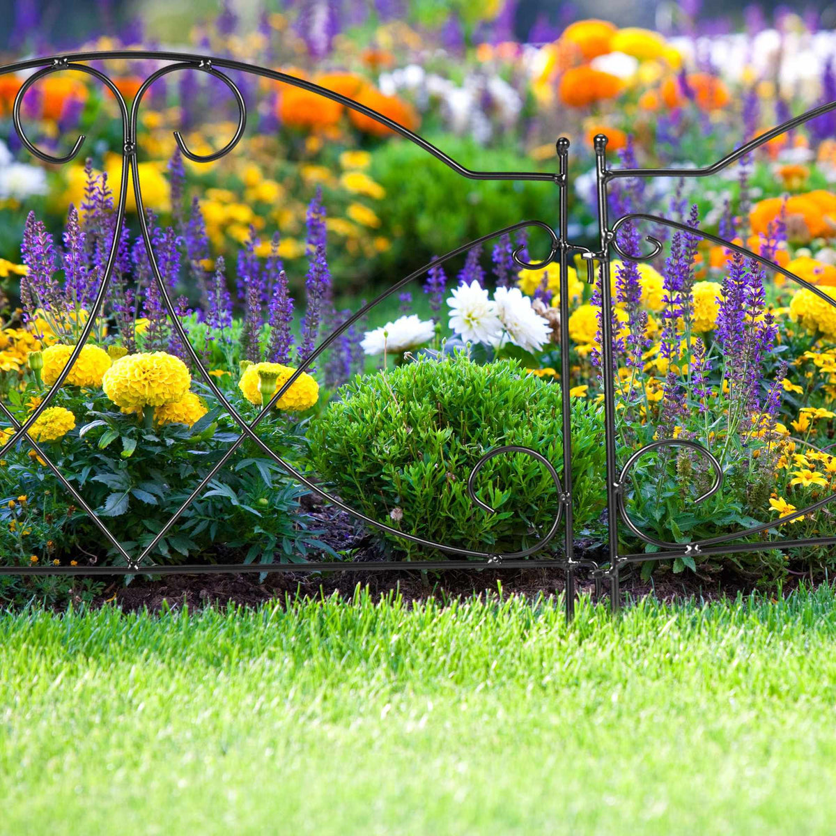 metal flower bed fence in 6 parts