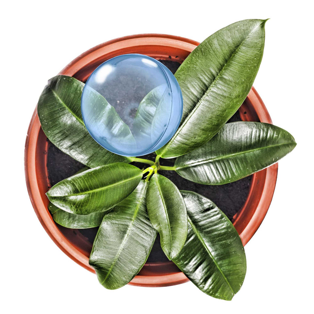 set of 9 watering balls