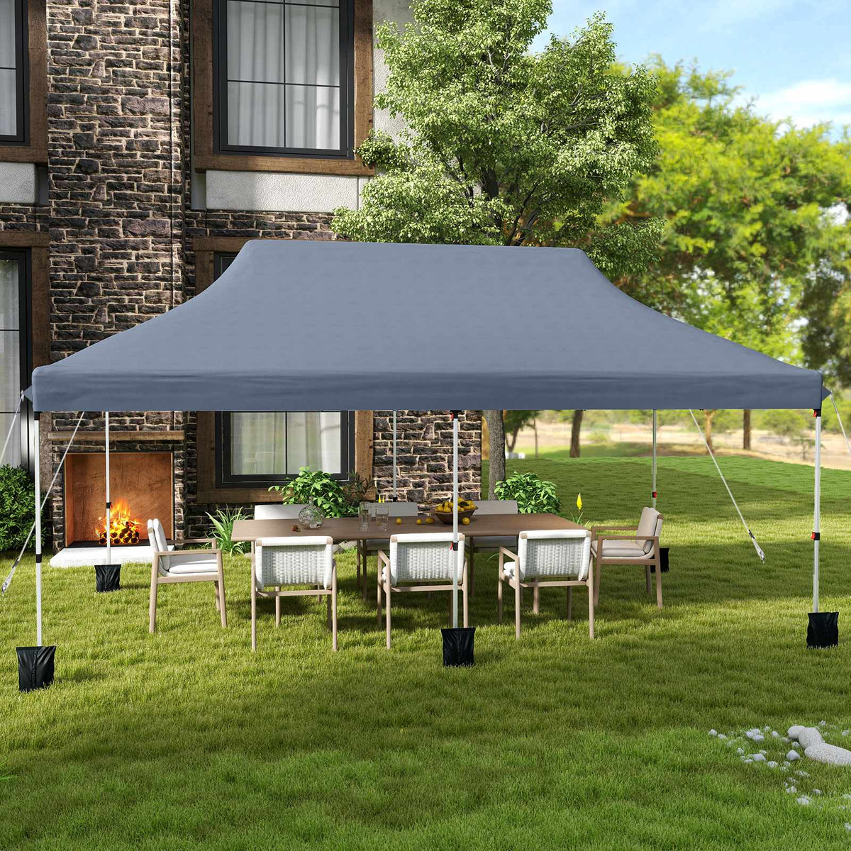 10x20 Pop-Up Canopy Tent, Adjustable Height, Carry Bag