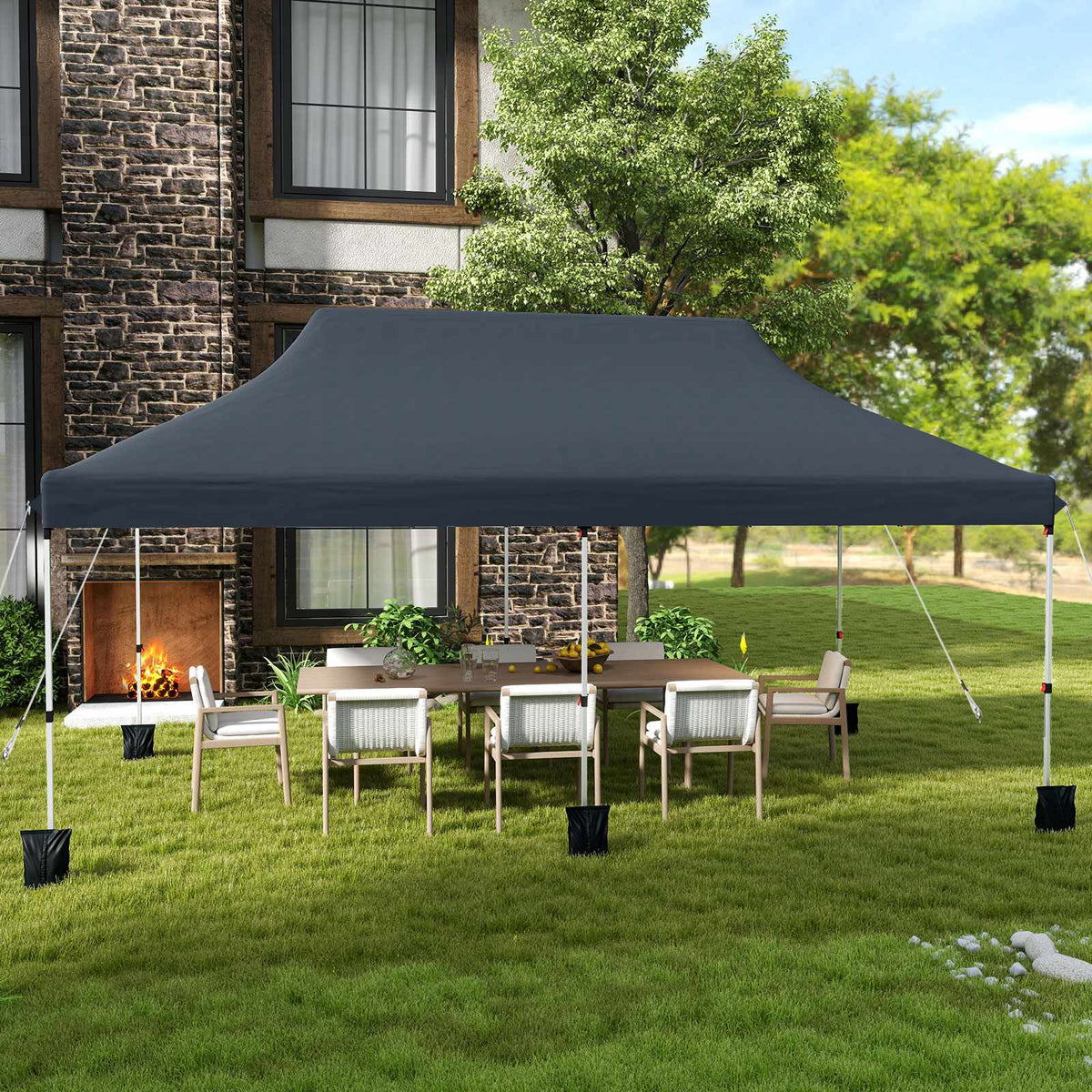 10x20 Pop-Up Canopy Tent, Water-Resistant, Carry Bag