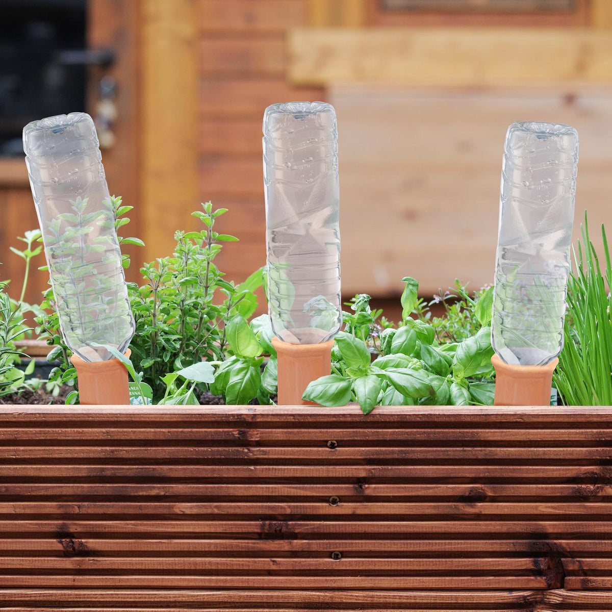 12-Pack Ceramic Plant Water Dispensers for Vacations