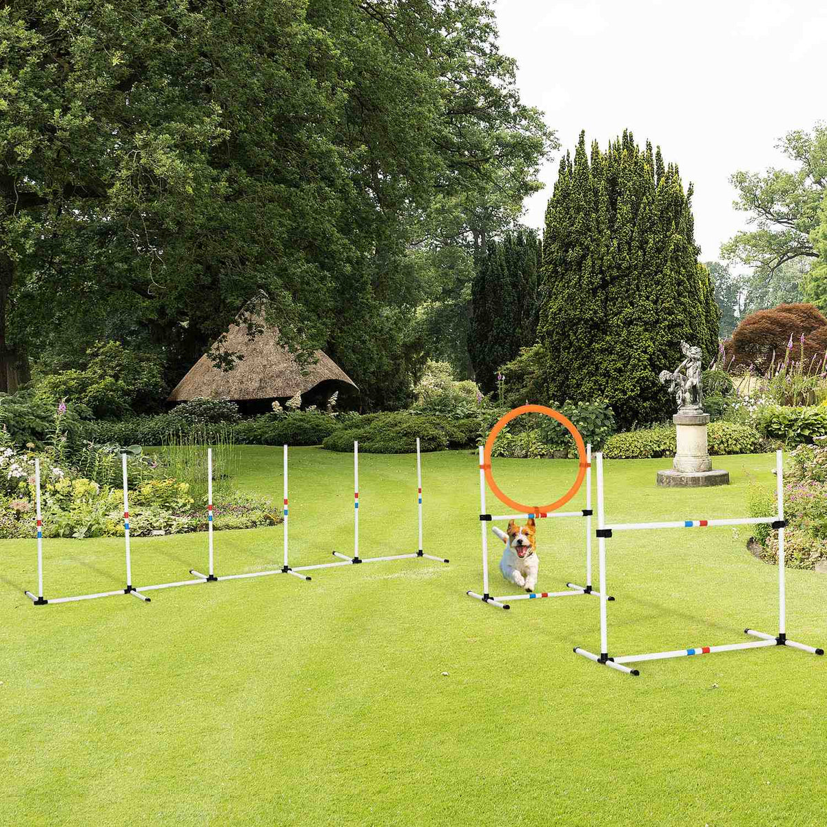 3-Piece Dog Agility Set Training For Pets Dog Training Set Includes Bag Easy To Carry Plastic White + Yellow