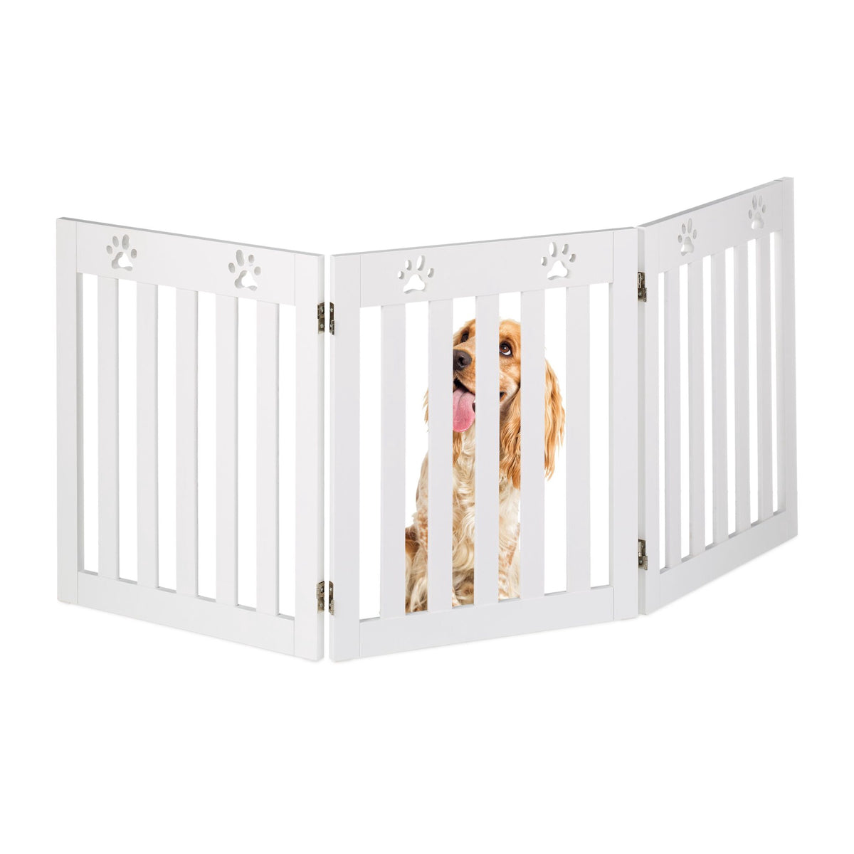 3-part dog fence paws