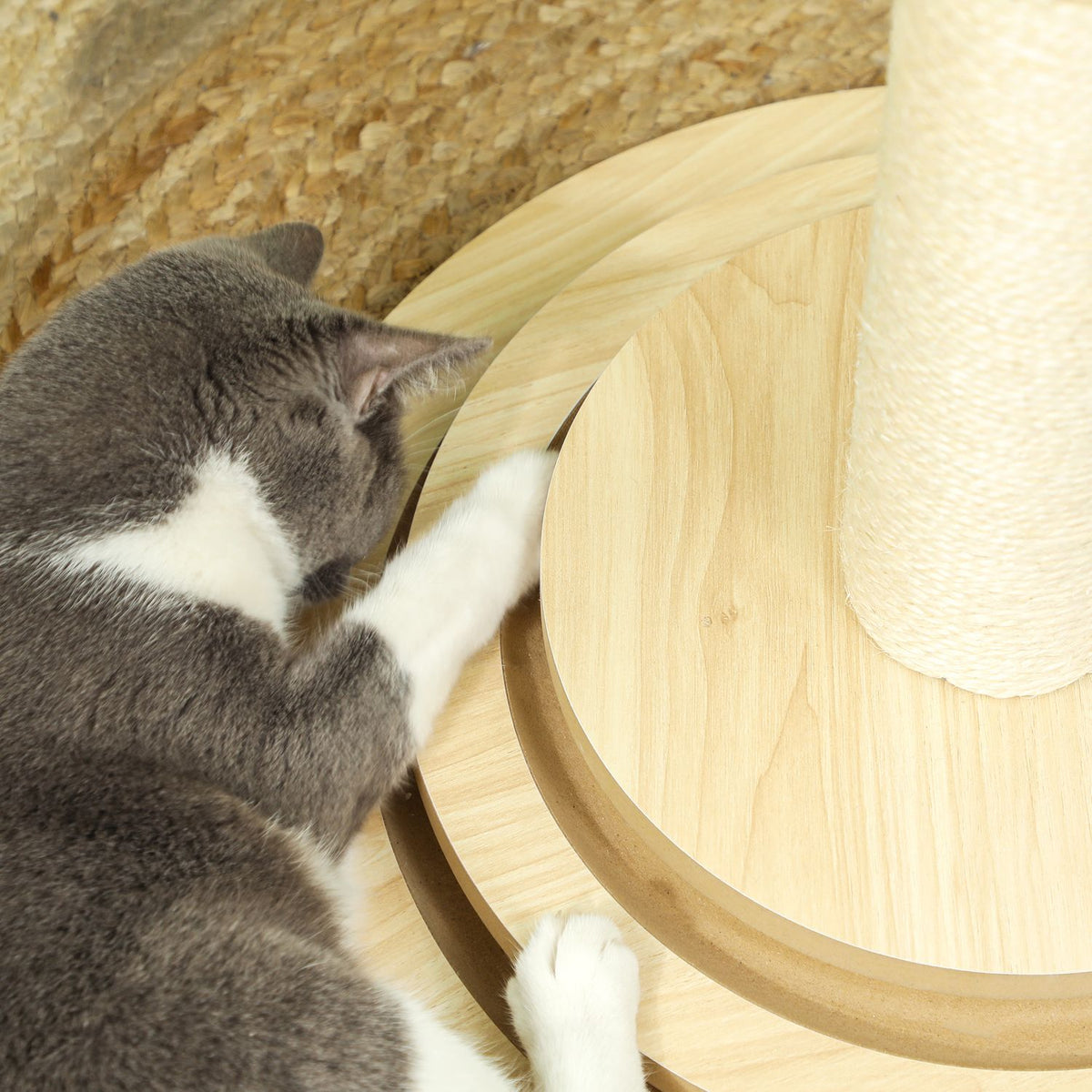 4-in-1 scratching post, 69cm scratching post, sisal cat scratching post with play ball, scratching post for cats, cat scratching furniture, indoor, oak