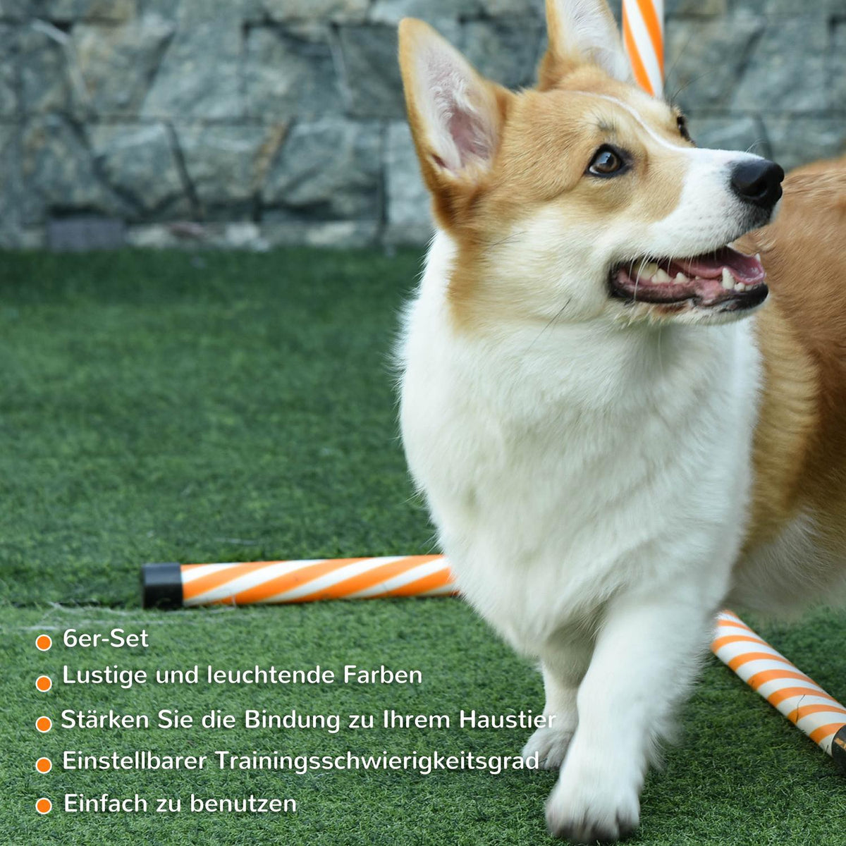 6 pieces Agility Set Dogs, Agility Equipment Set with Braided Poles, Whistle, Carry Bag, Dog Training Accessories, Orange