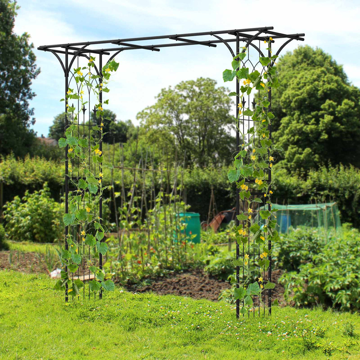 81 Inch Black Metal Garden Arbor Arch for Climbing Plants