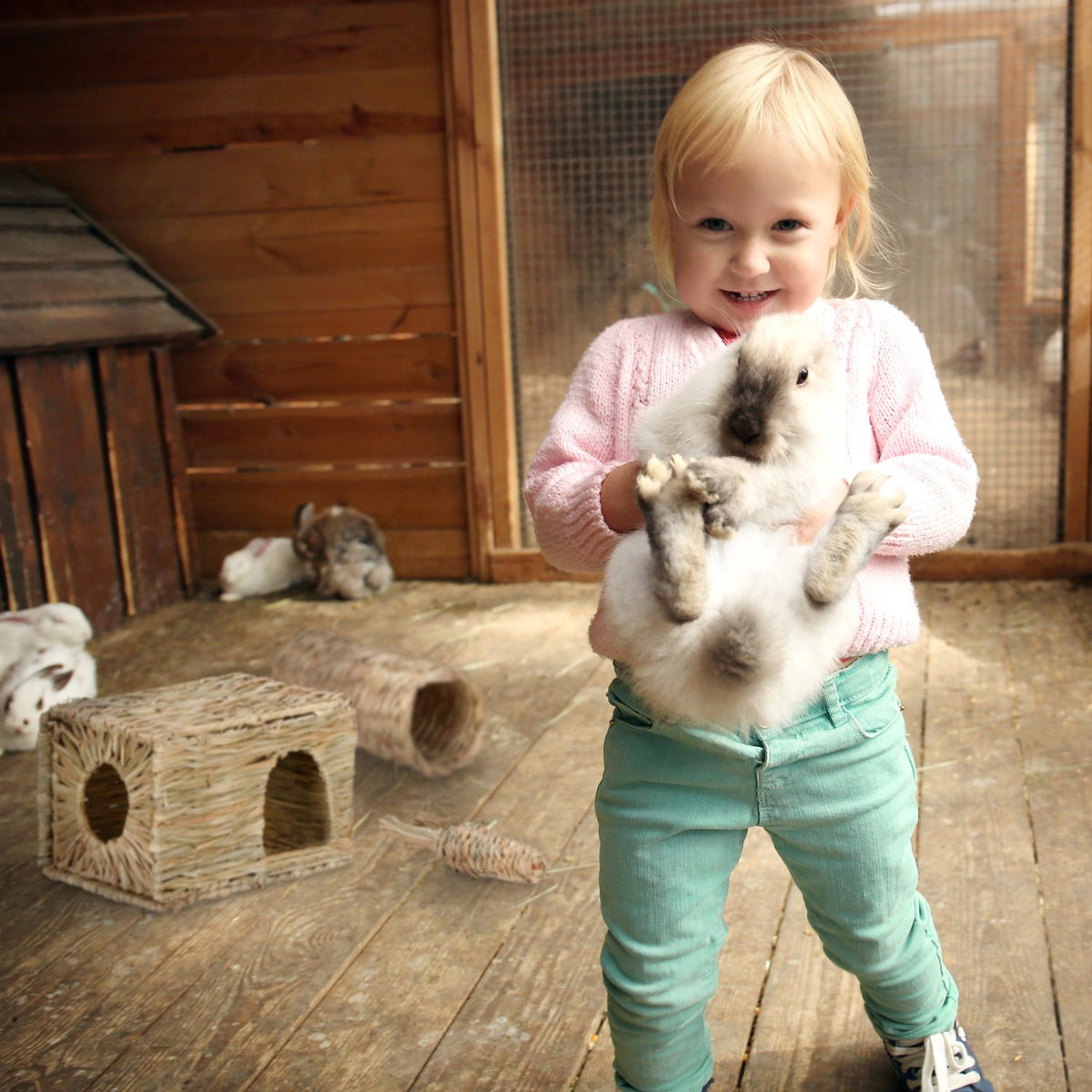 Accessory set for small animals 3 pcs.