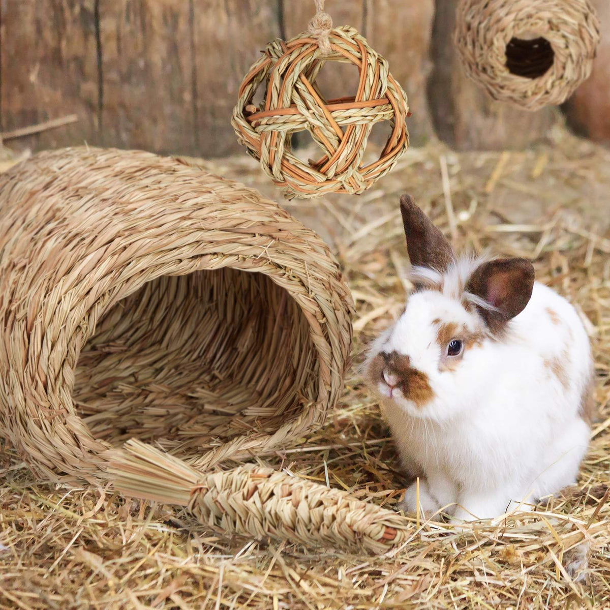 Accessory set for small animals 4 parts