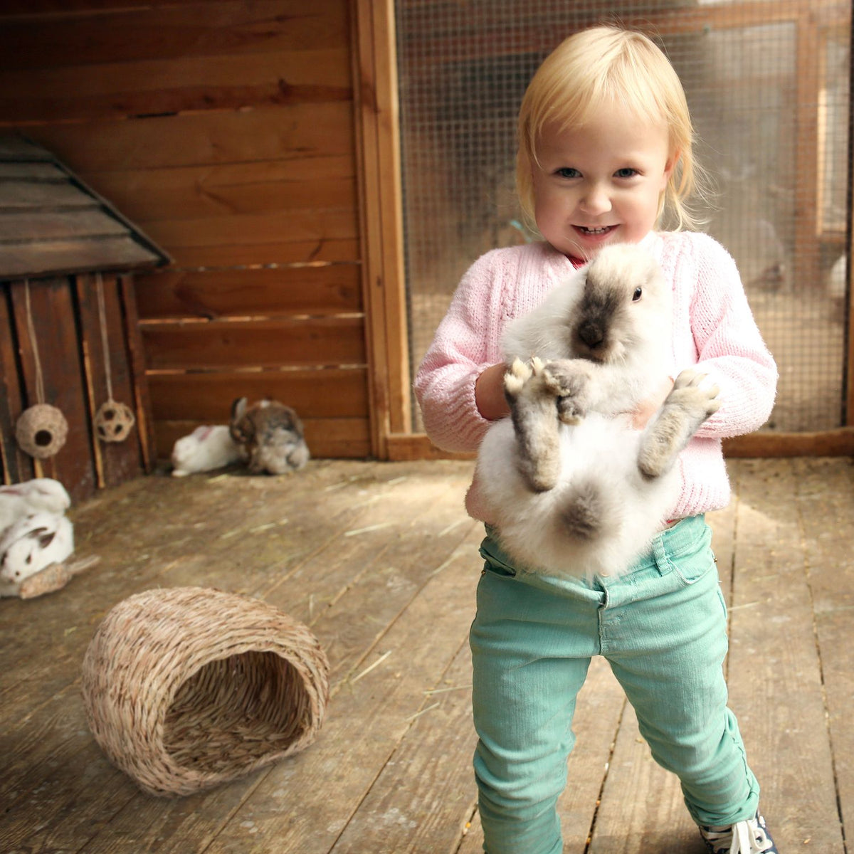 Accessory set for small animals 4 parts