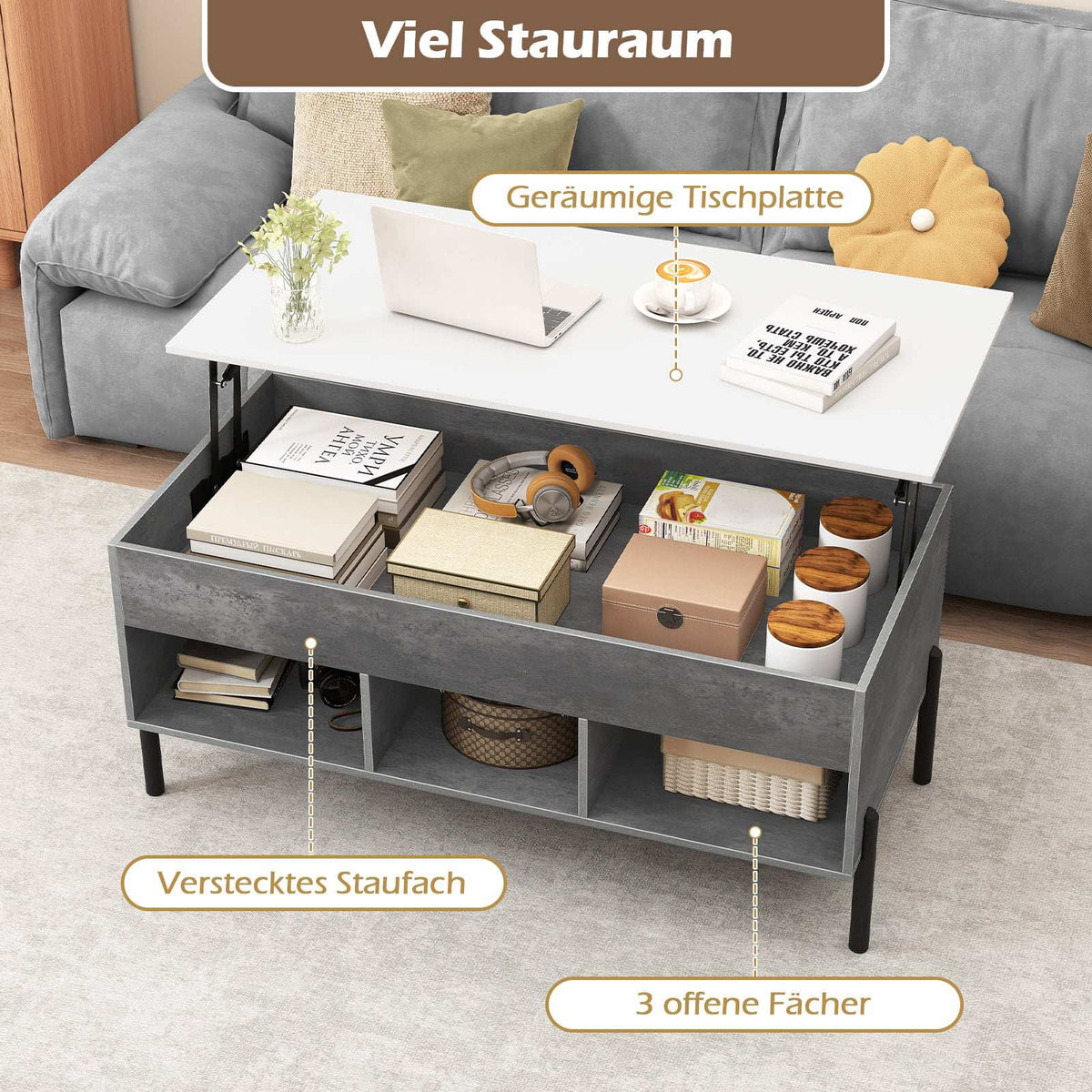 Adjustable Coffee Table with Lift-Top, Storage, Gray