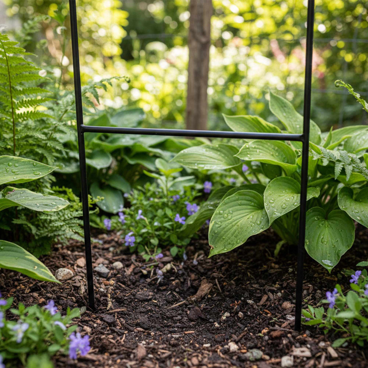 Adjustable Metal Garden Arch for Climbing Plants