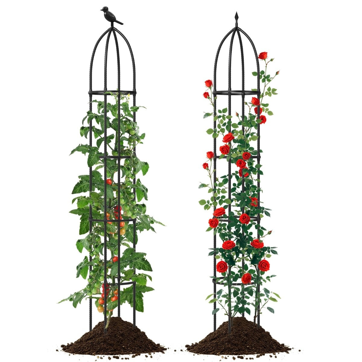 Adjustable Metal Plant Support Obelisks, Set of 2