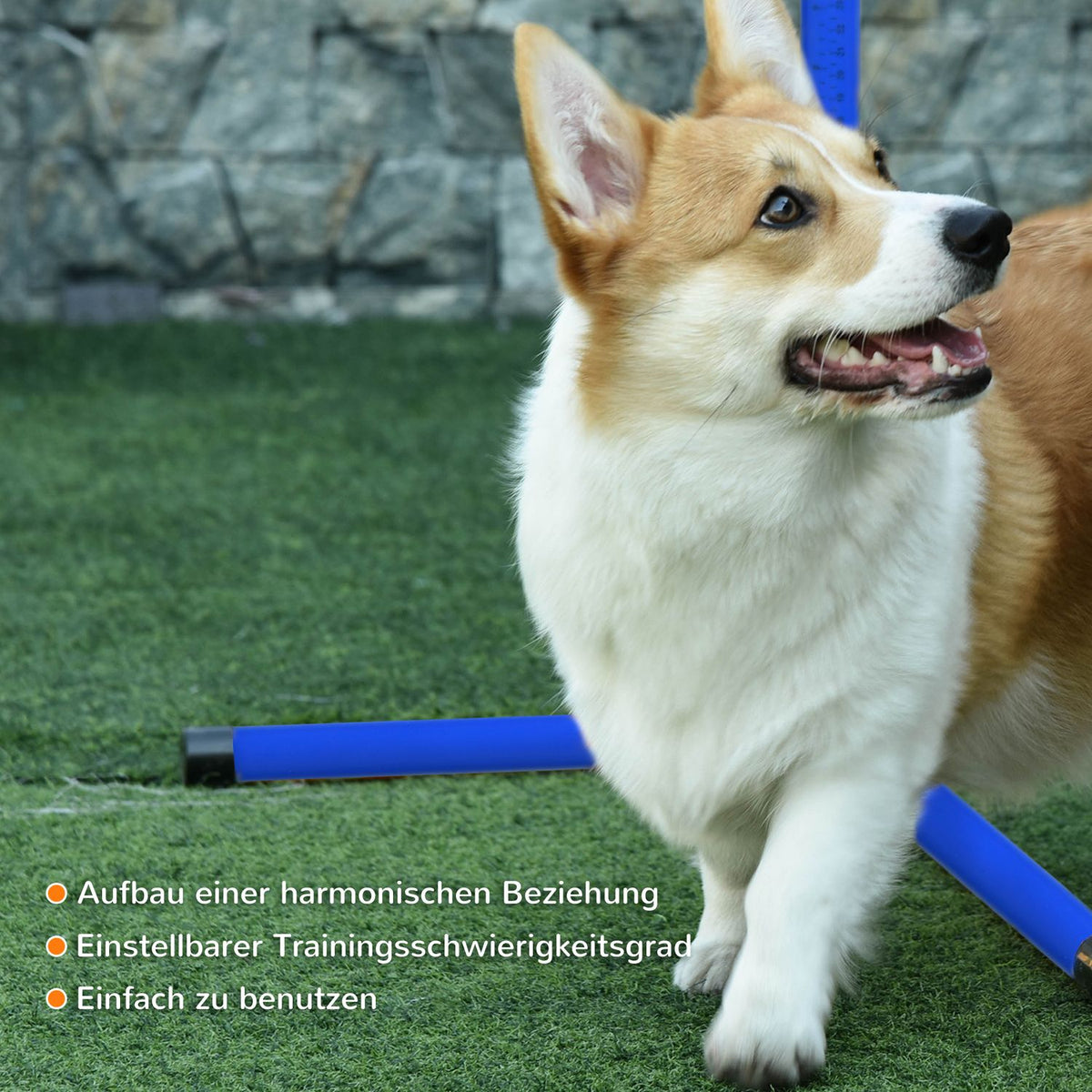 Agility Hurdle Set Slalom Bars Dog Training Set 4 X Hurdles, Plastic, Blue, 99X65X94Cm