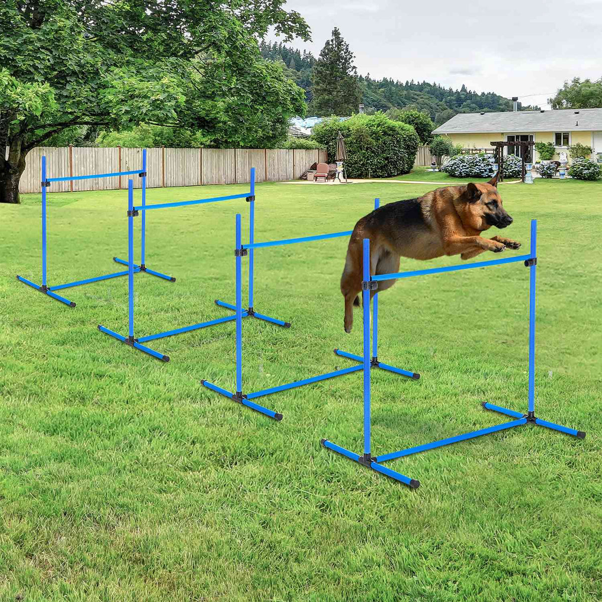 Agility Hurdle Set Slalom Bars Dog Training Set 4 X Hurdles, Plastic, Blue, 99X65X94Cm