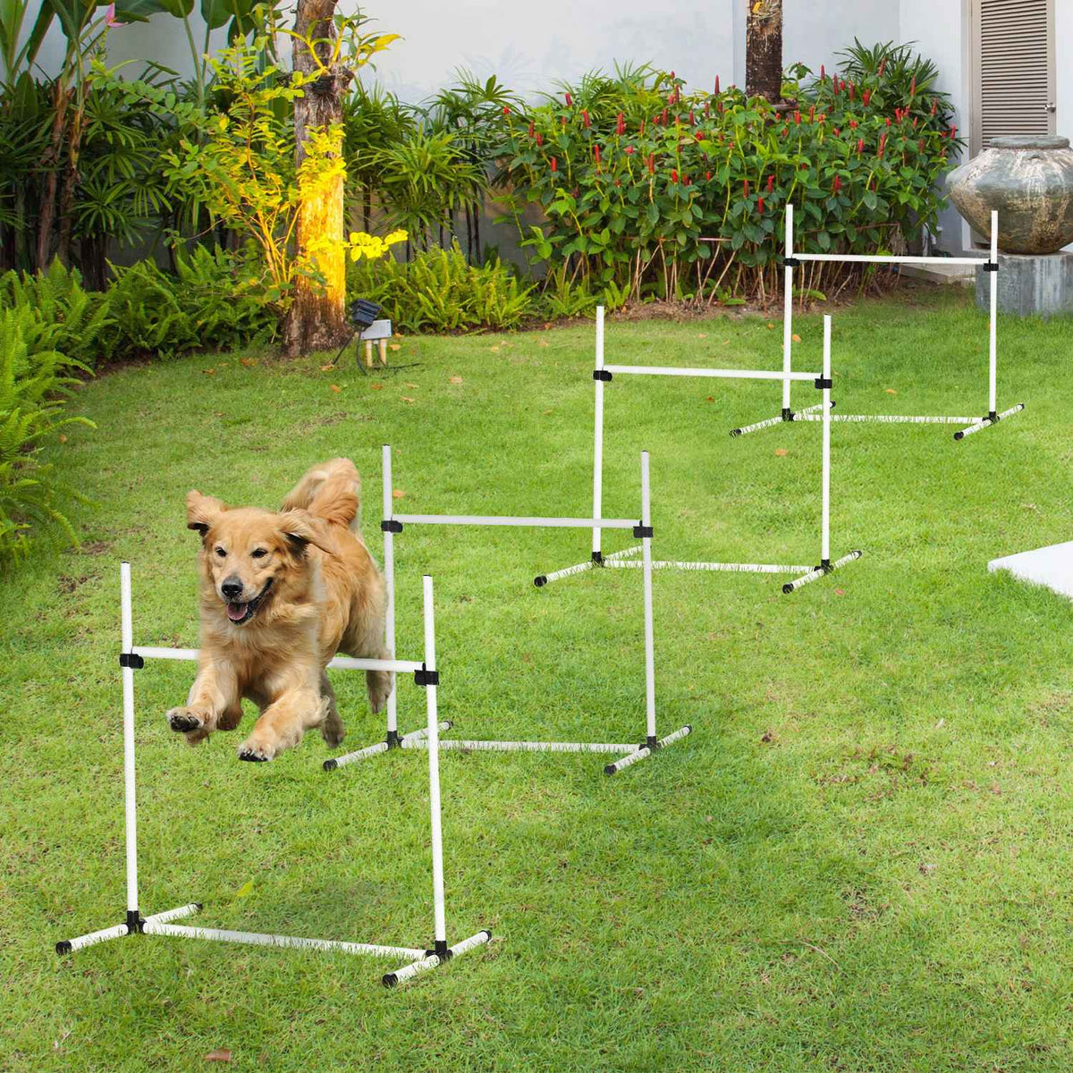 Agility Hurdle Set Slalom Bars Dog Training Set 4 X Hurdles, Plastic, White, 99X65X94Cm