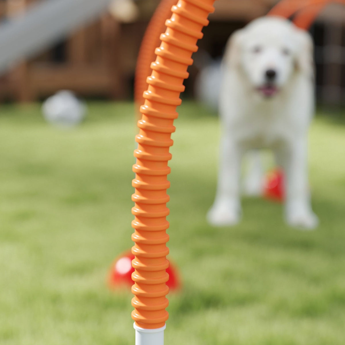 Agility Set Dogs 5-piece fillable agility equipment for dog training hurdle set with adjustable agility doors carry bag training accessories coordination training for games training