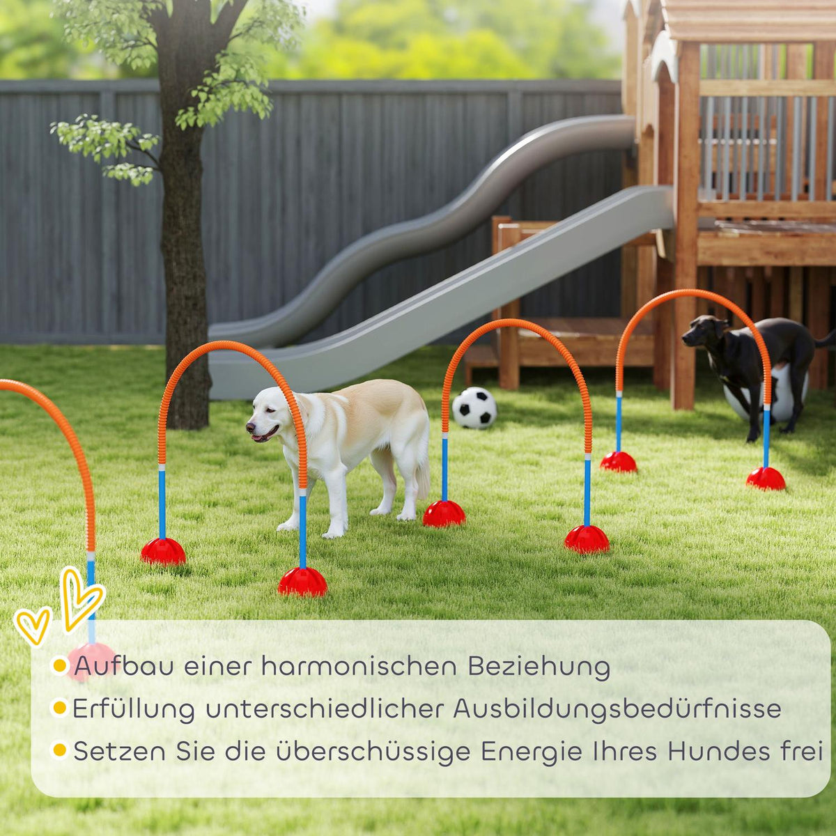 Agility Set Dogs 5-piece fillable agility equipment for dog training hurdle set with adjustable agility doors carry bag training accessories coordination training for games training