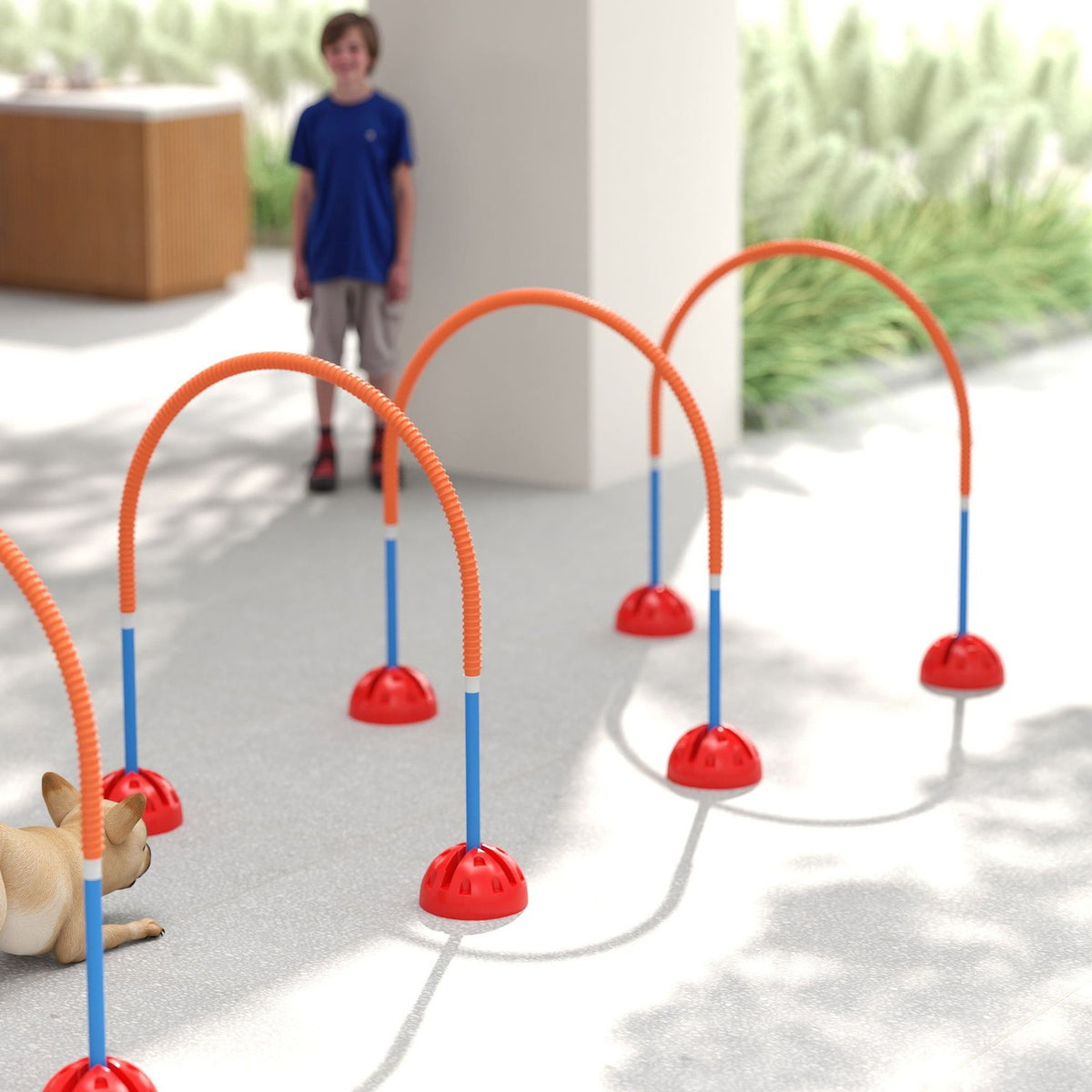 Agility Set Dogs 5-piece fillable agility equipment for dog training hurdle set with adjustable agility doors carry bag training accessories coordination training for games training