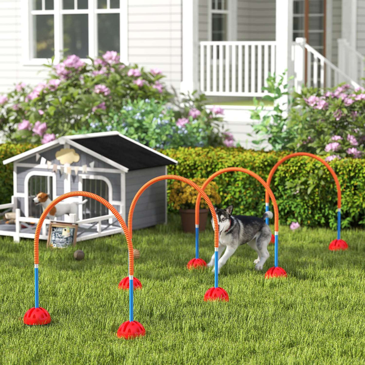 Agility Set Dogs 5-piece fillable agility equipment for dog training hurdle set with adjustable agility doors carry bag training accessories coordination training for games training