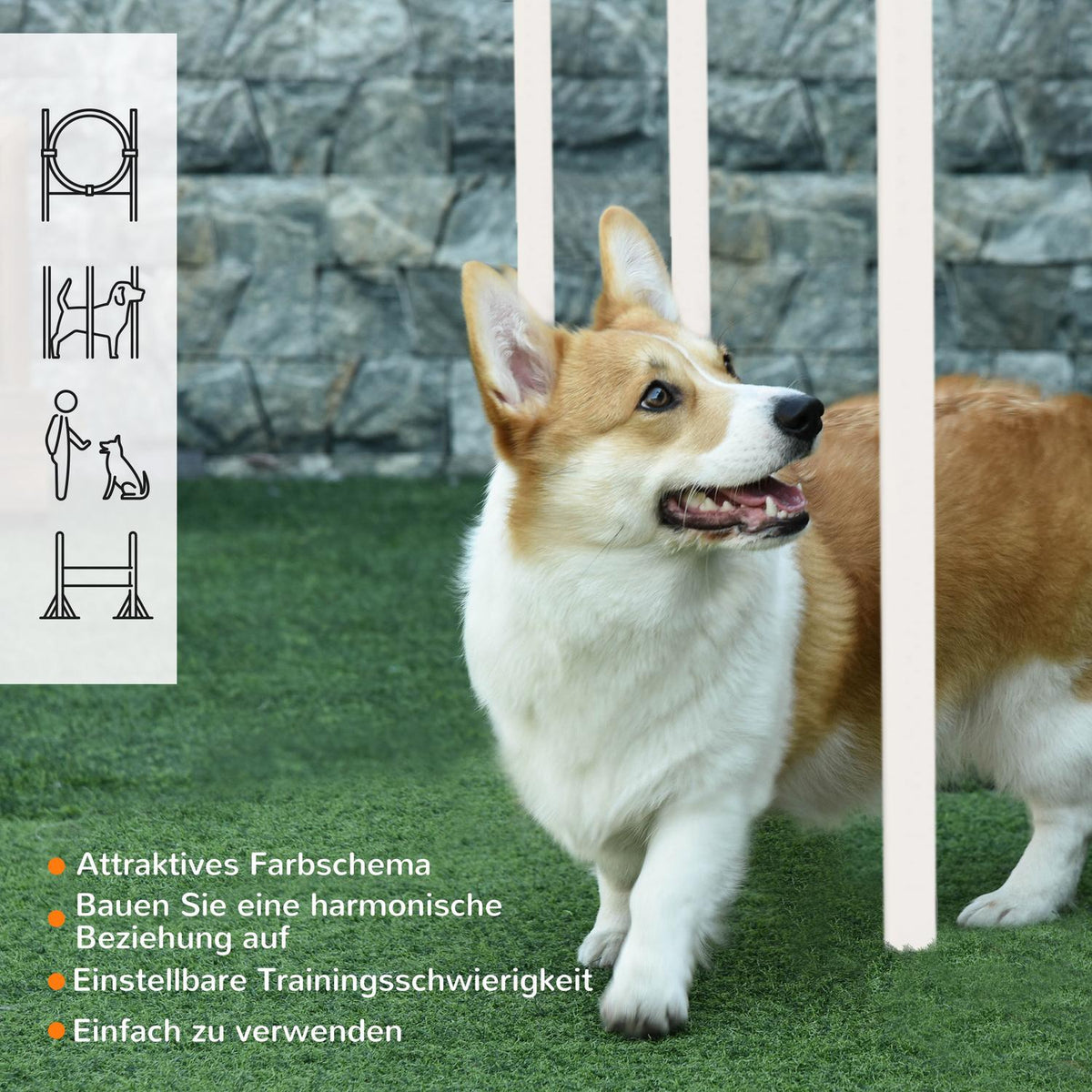 Agility Set Dogs, Set Of 5 Dog Training With Height-Adjustable Agility Hurdle, Food Bag, Jump Ring, Slalom Poles, Hurdle Set