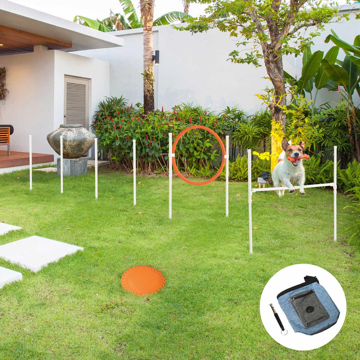 Agility Set Dogs, Set Of 5 Dog Training With Height-Adjustable Agility Hurdle, Food Bag, Jump Ring, Slalom Poles, Hurdle Set