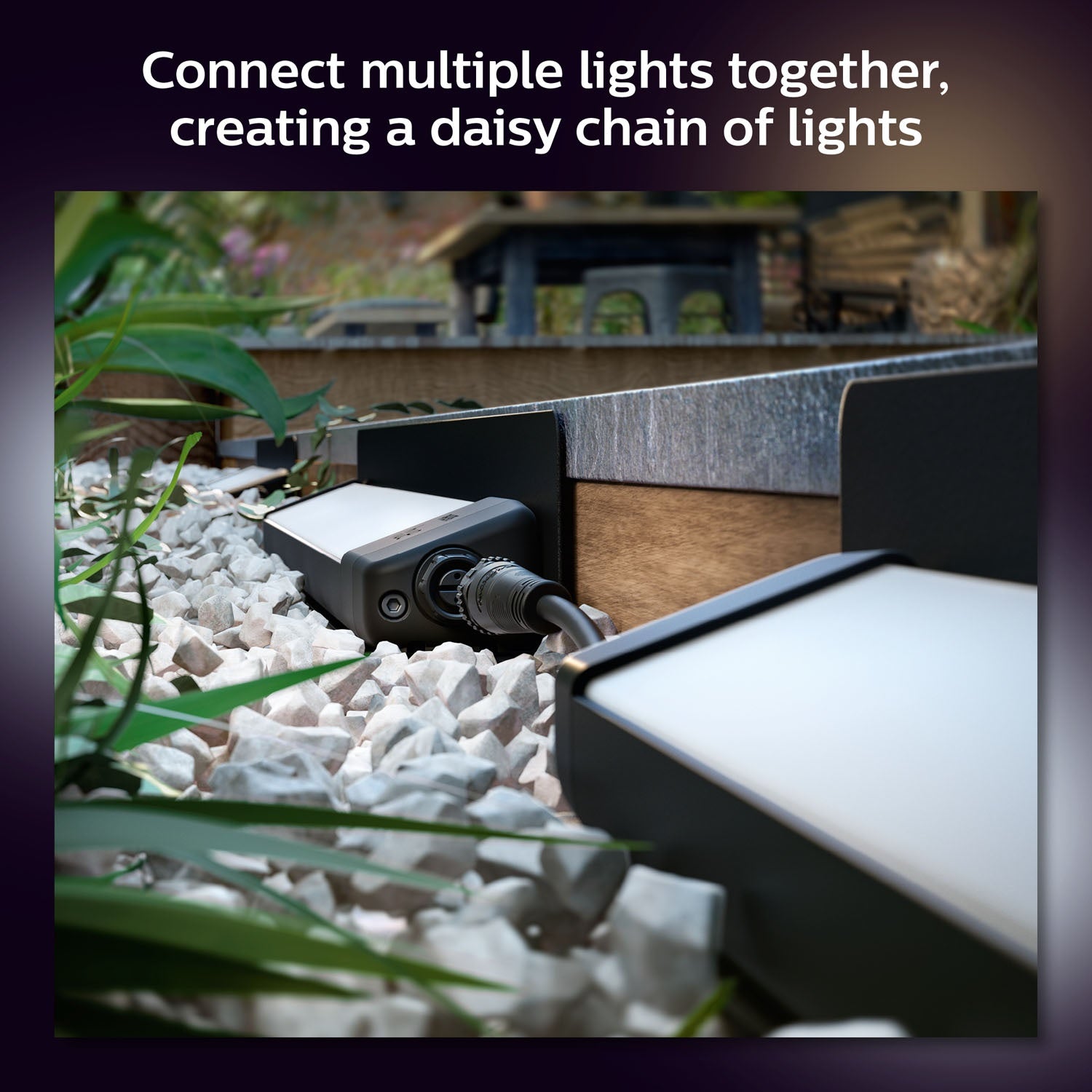 Amaranth Garden floodlight Wh/Color 12V