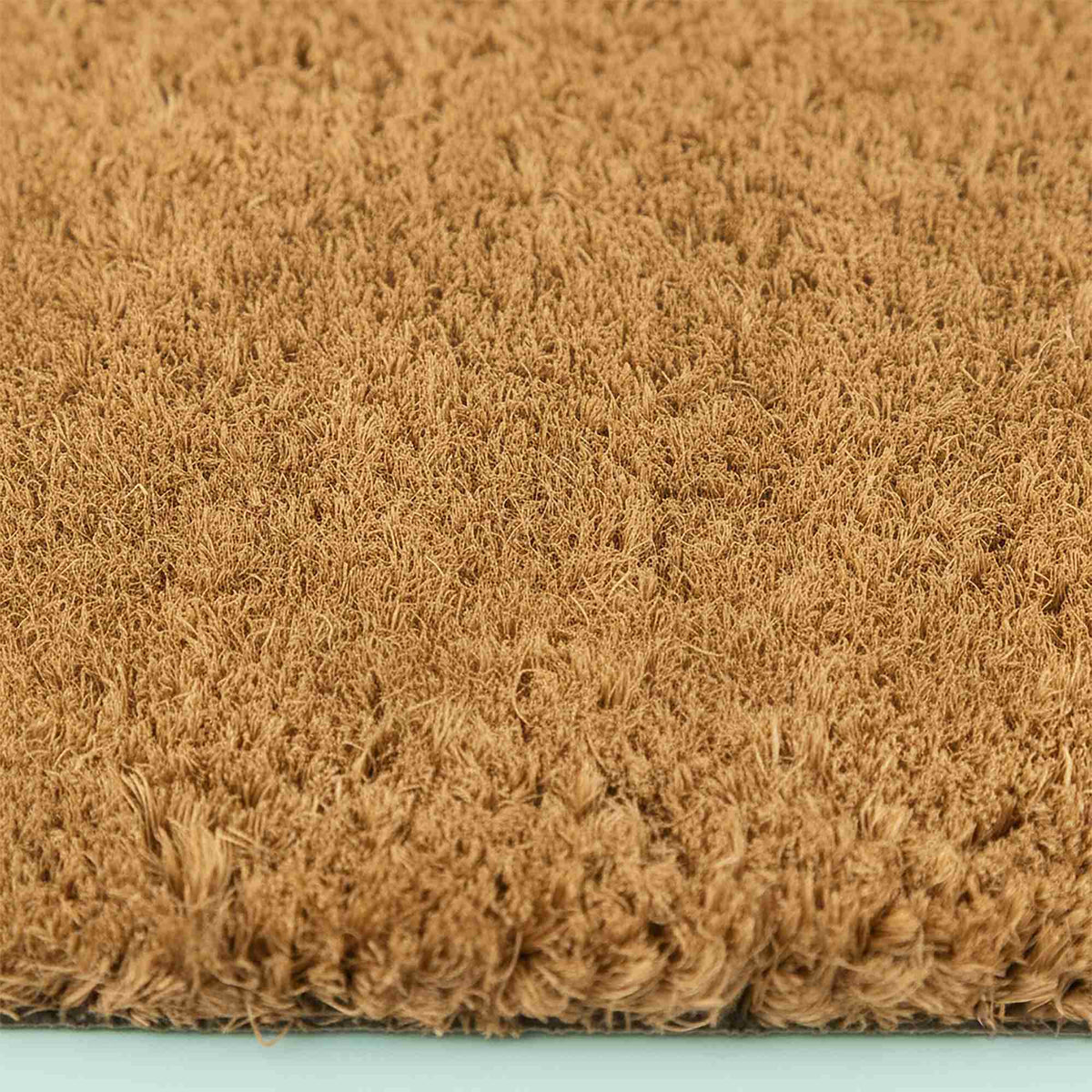 Animal Doormat, Coconut Fiber, 60x40 cm, Dirt-Trapping