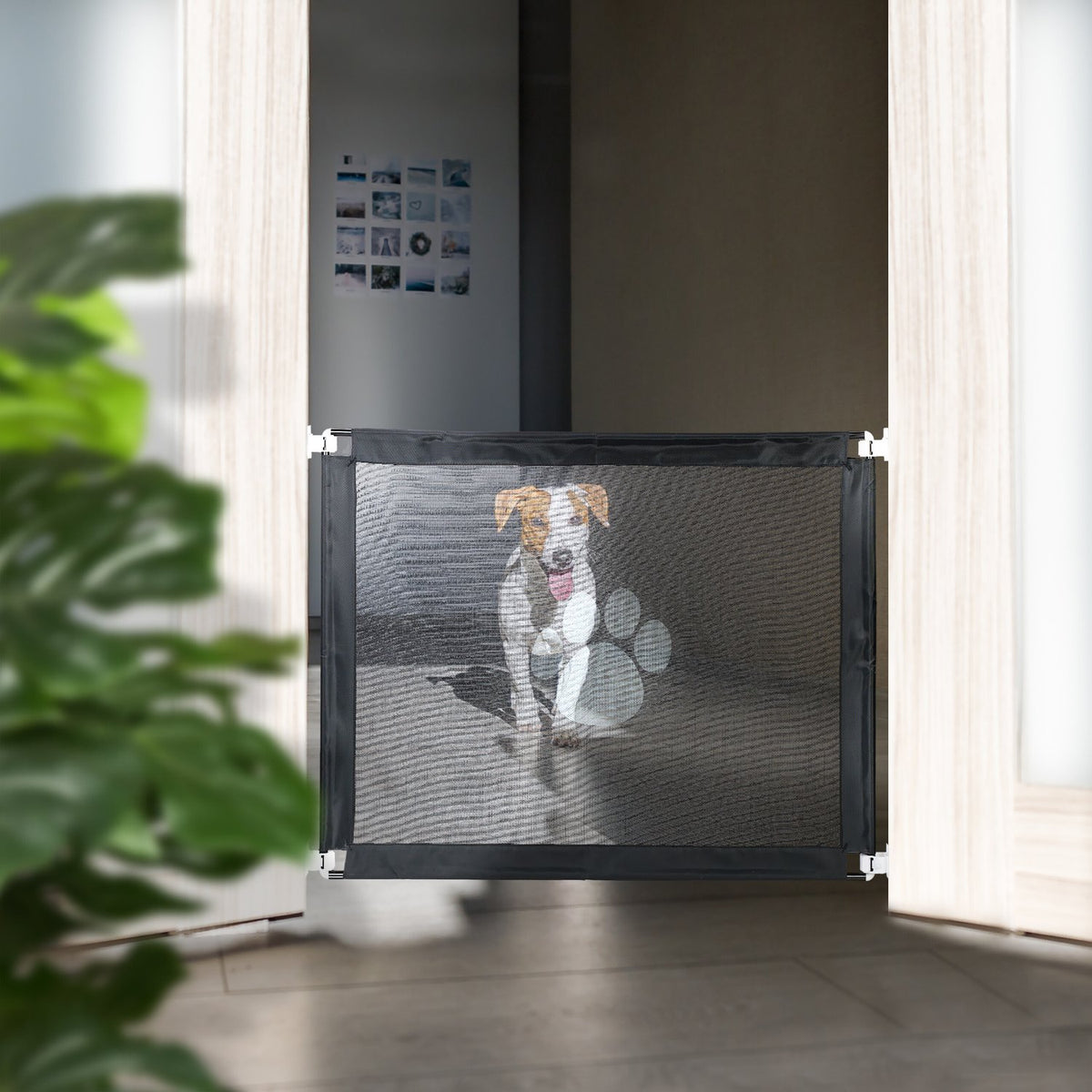 Animal protection gate for door and stairs